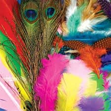 Craft Feathers Pack